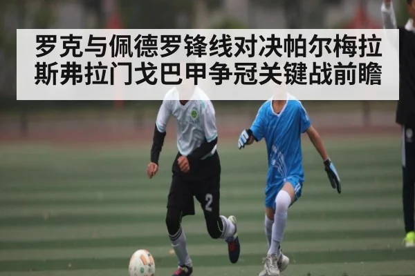 罗克与佩德罗锋线对决帕尔梅拉斯弗拉门戈巴甲争冠关键战前瞻