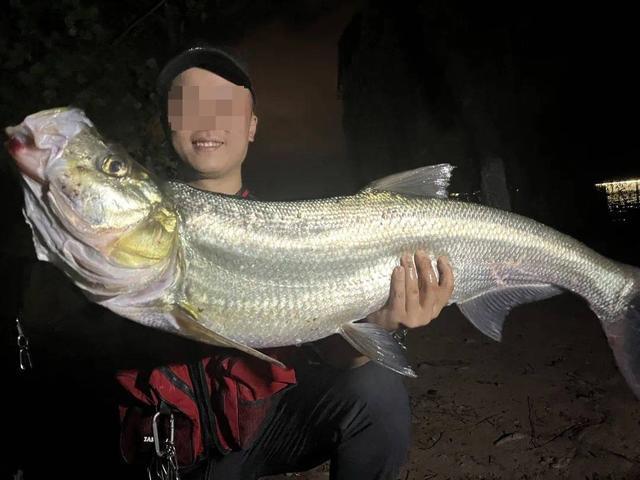 开云体育官网-生态治理还是高价钓鱼？西昌邛海4000元钓鱼年卡引质疑 律师：如此收费无法律依据